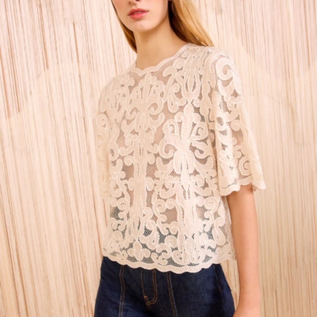 Nwot Ulla Johnson Tasia Applique Embroidered Mesh Top Blouse In Chalk Xl $790